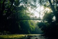 Pemandangan lanskap bukit hijau berkabut di pedalaman Flores yang memperlihatkan keindahan alam Nusantara yang masih alami dan terjaga.