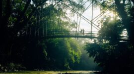 Pemandangan lanskap bukit hijau berkabut di pedalaman Flores yang memperlihatkan keindahan alam Nusantara yang masih alami dan terjaga.