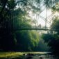 Pemandangan lanskap bukit hijau berkabut di pedalaman Flores yang memperlihatkan keindahan alam Nusantara yang masih alami dan terjaga.
