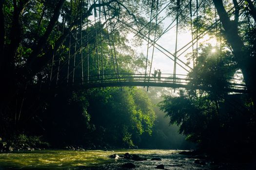 Pemandangan lanskap bukit hijau berkabut di pedalaman Flores yang memperlihatkan keindahan alam Nusantara yang masih alami dan terjaga.