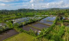 Menjelajah Sudut Tersembunyi Nusantara Melalui Perjalanan Lambat Berbasis Komunitas Pedesaan Indonesia