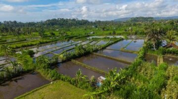 Wisatawan menikmati suasana tenang di sebuah desa adat pedesaan Indonesia, di mana konsep pariwisata berkelanjutan memberikan dampak langsung pada perekonomian masyarakat lokal.