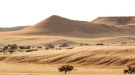 Pemandangan perbukitan sabana Sumba saat matahari terbenam menyajikan panorama alam khas Nusa Tenggara Timur yang memikat para pelancong.