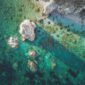 Pemandangan perairan jernih di Kepulauan Alor yang menjaga kelestarian terumbu karang dan mamalia laut melalui kearifan lokal masyarakat pesisir.