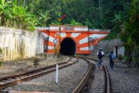 Wisatawan menikmati pemandangan perbukitan hijau dan persawahan dari balik jendela kaca lebar gerbong kereta wisata.