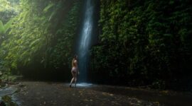 Pemandangan kabut tipis yang menyelimuti perbukitan hijau dan kebun kopi tradisional di kawasan Munduk, Buleleng, Bali Utara.