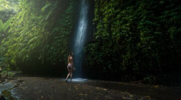 Pemandangan kabut tipis yang menyelimuti perbukitan hijau dan kebun kopi tradisional di kawasan Munduk, Buleleng, Bali Utara.