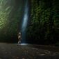 Pemandangan kabut tipis yang menyelimuti perbukitan hijau dan kebun kopi tradisional di kawasan Munduk, Buleleng, Bali Utara.
