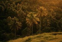 Hamparan bukit hijau nan asri di Sumba menawarkan pemandangan alam spektakuler yang menjadi destinasi petualangan favorit para penikmat wisata alam terbuka.