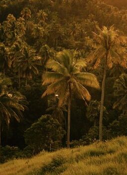 Menjelajah Kedalaman Sumba melalui Petualangan Lambat yang Menggugah Jiwa dan Menyegarkan Pikiran