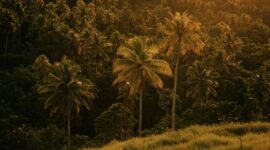 Hamparan bukit hijau nan asri di Sumba menawarkan pemandangan alam spektakuler yang menjadi destinasi petualangan favorit para penikmat wisata alam terbuka.