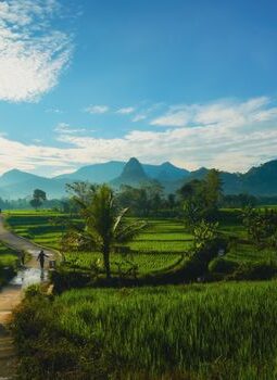 Menjelajah Desa Wisata Ramah Anak Sebagai Solusi Liburan Keluarga Bebas Gawai Di Yogyakarta