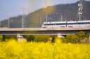Perjalanan menggunakan kereta wisata menawarkan pemandangan panorama alam terbuka yang memanjakan mata sekaligus memberikan kenyamanan ekstra selama perjalanan menuju destinasi impian.