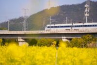 Perjalanan menggunakan kereta wisata menawarkan pemandangan panorama alam terbuka yang memanjakan mata sekaligus memberikan kenyamanan ekstra selama perjalanan menuju destinasi impian.