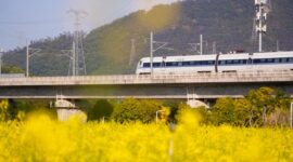 Perjalanan menggunakan kereta wisata menawarkan pemandangan panorama alam terbuka yang memanjakan mata sekaligus memberikan kenyamanan ekstra selama perjalanan menuju destinasi impian.