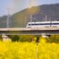 Perjalanan menggunakan kereta wisata menawarkan pemandangan panorama alam terbuka yang memanjakan mata sekaligus memberikan kenyamanan ekstra selama perjalanan menuju destinasi impian.