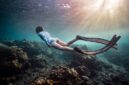 Penyelam mengamati keindahan terumbu karang purba yang masih terjaga keasliannya di perairan jernih Selat Pantar, Kepulauan Alor, Nusa Tenggara Timur.
