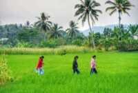 Anak-anak didampingi orang tua belajar menanam padi bersama petani lokal di desa wisata kawasan lereng Gunung Merapi, Yogyakarta. Aktivitas edukatif ini mengajak keluarga menikmati suasana alam sekaligus mempererat kebersamaan jauh dari gawai.