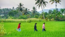 Anak-anak didampingi orang tua belajar menanam padi bersama petani lokal di desa wisata kawasan lereng Gunung Merapi, Yogyakarta. Aktivitas edukatif ini mengajak keluarga menikmati suasana alam sekaligus mempererat kebersamaan jauh dari gawai.