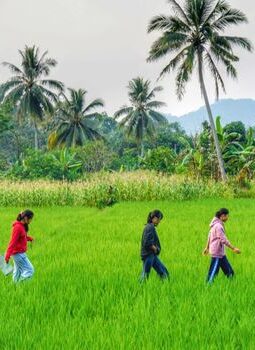 Menjelajah Desa Wisata Lereng Merapi untuk Liburan Keluarga yang Hangat dan Edukatif