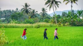 Anak-anak didampingi orang tua belajar menanam padi bersama petani lokal di desa wisata kawasan lereng Gunung Merapi, Yogyakarta. Aktivitas edukatif ini mengajak keluarga menikmati suasana alam sekaligus mempererat kebersamaan jauh dari gawai.