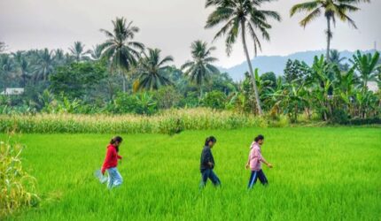 Menjelajah Desa Wisata Lereng Merapi untuk Liburan Keluarga yang Hangat dan Edukatif