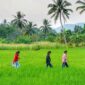 Anak-anak didampingi orang tua belajar menanam padi bersama petani lokal di desa wisata kawasan lereng Gunung Merapi, Yogyakarta. Aktivitas edukatif ini mengajak keluarga menikmati suasana alam sekaligus mempererat kebersamaan jauh dari gawai.