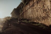 Jalan Lintas Selatan Jawa menyajikan pemandangan tebing karang dramatis dan hamparan Samudra Hindia yang meliuk indah sepanjang jalur perjalanan darat.