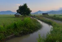 Deretan rumah adat Uma Bokulu di Kampung Adat Prai Ijing, Sumba Barat, berdiri anggun di antara pepohonan hijau dan perbukitan sabana yang menawarkan ketenangan alami bagi para wisatawan.