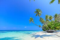 Panorama tebing karang dan air laut jernih di kawasan Pulau Bair, Kepulauan Kei, Maluku Tenggara, yang menjadi salah satu destinasi favorit para pecinta wisata bahari.
