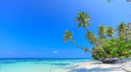 Panorama tebing karang dan air laut jernih di kawasan Pulau Bair, Kepulauan Kei, Maluku Tenggara, yang menjadi salah satu destinasi favorit para pecinta wisata bahari.