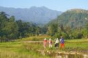 Seorang pelancong menikmati suasana tenang persawahan hijau di sebuah desa wisata, mengilustrasikan pergeseran gaya liburan masyarakat yang kini lebih menyukai ketenangan alam dan keterlibatan lokal.