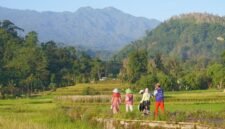 Seorang pelancong menikmati suasana tenang persawahan hijau di sebuah desa wisata, mengilustrasikan pergeseran gaya liburan masyarakat yang kini lebih menyukai ketenangan alam dan keterlibatan lokal.