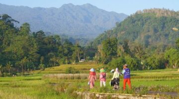 Seorang pelancong menikmati suasana tenang persawahan hijau di sebuah desa wisata, mengilustrasikan pergeseran gaya liburan masyarakat yang kini lebih menyukai ketenangan alam dan keterlibatan lokal.